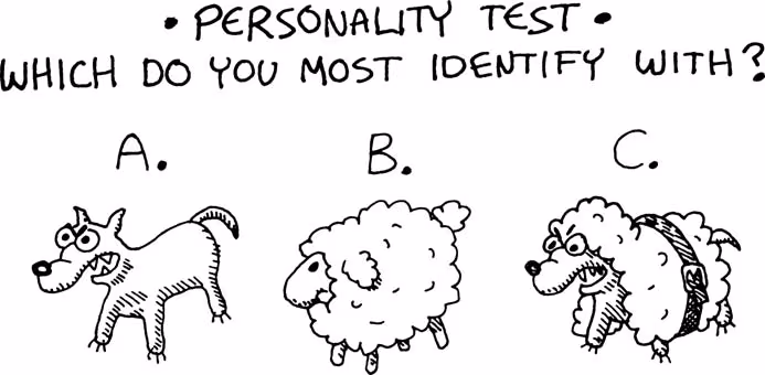 Personality Test: Which do you most identify with? A: A wolf, B: a sheep, C: a wolf in sheep's closing